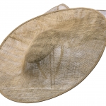 Appletini Hat